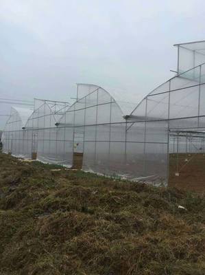 芒市玻璃溫室大棚 楚宏溫室大棚報價 玻璃溫室大棚搭建