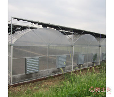 【廠家銷售8米單體溫室大棚塑料薄膜溫室大棚單體溫室大棚建設