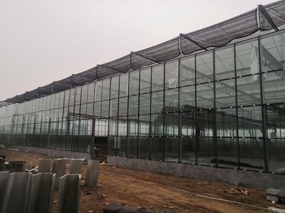 [塑料薄膜溫室大棚批發(fā)] 塑料薄膜溫室大棚建設(shè),溫室大棚造價(jià),大棚廠家直銷價(jià)格160元/平方米
