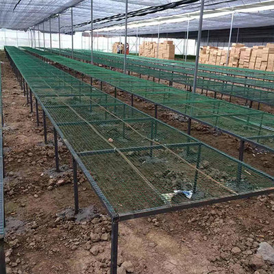 養殖溫室薄膜哪家便宜-鎮雄養殖溫室薄膜-夢洋溫室薄膜值得信賴