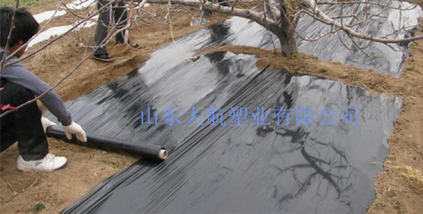 黑地膜銷售商-海商網(wǎng),塑料膜和袋產(chǎn)品庫