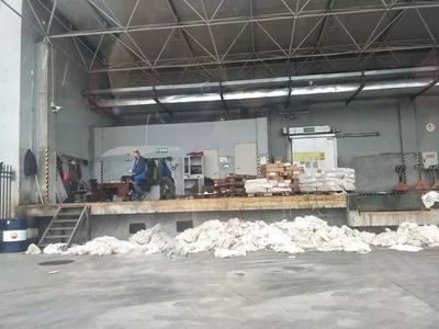 重慶兩市場竟有90%商戶銷售走私凍肉,每日數千噸流向西南各省