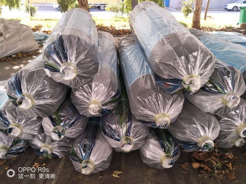 武昌流滴大棚薄膜專業(yè)制造廠家 優(yōu)惠促銷進(jìn)行中