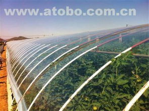 ,價(jià)格,廠家,供應(yīng)商,塑料薄膜,青州市通順?biāo)芰蠌S 熱賣促銷 阿土伯網(wǎng)