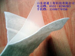 建通牌復合土工膜和膨潤土防水毯都有不同的防滲效果 深圳酷易搜