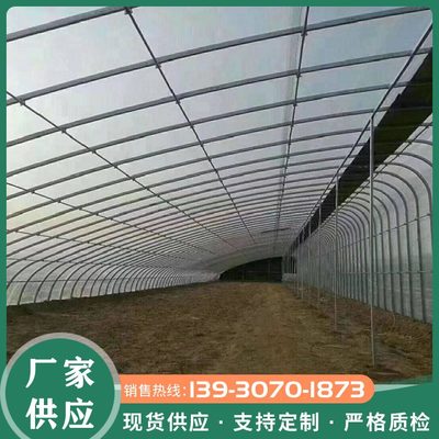 日光溫室 春秋育苗棚 冬季蔬菜種植大棚 塑料薄膜大棚 耐用建設速度快